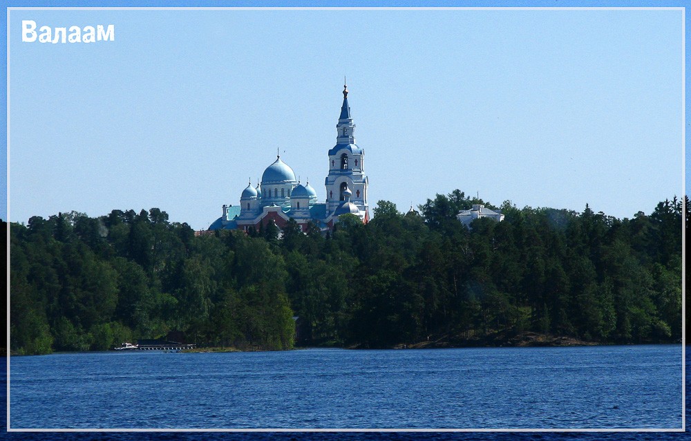 Острова Валаам животные. Патриарх на Валааме.